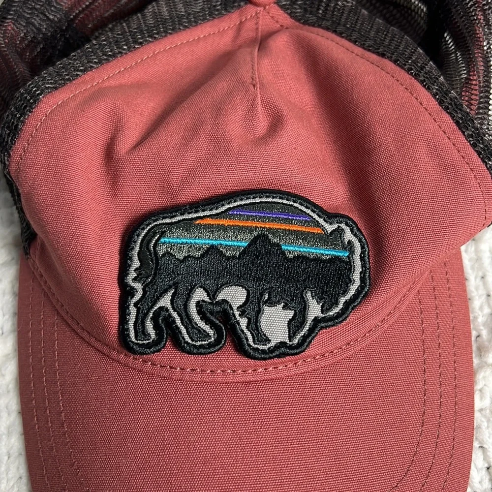Patagonia Fitz Roy Bison Trucker hat